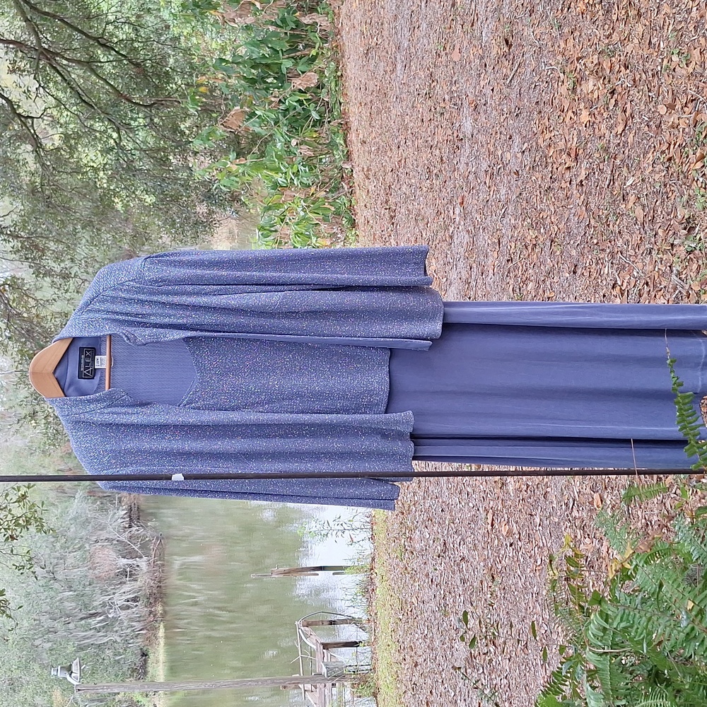 Alex Evenings Formal 2 Piece Sparkly Mother Of The Bride Jacket Dress 22W Plus